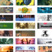 Libros de 2012