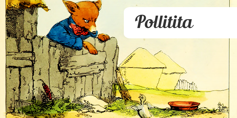 Pollitita